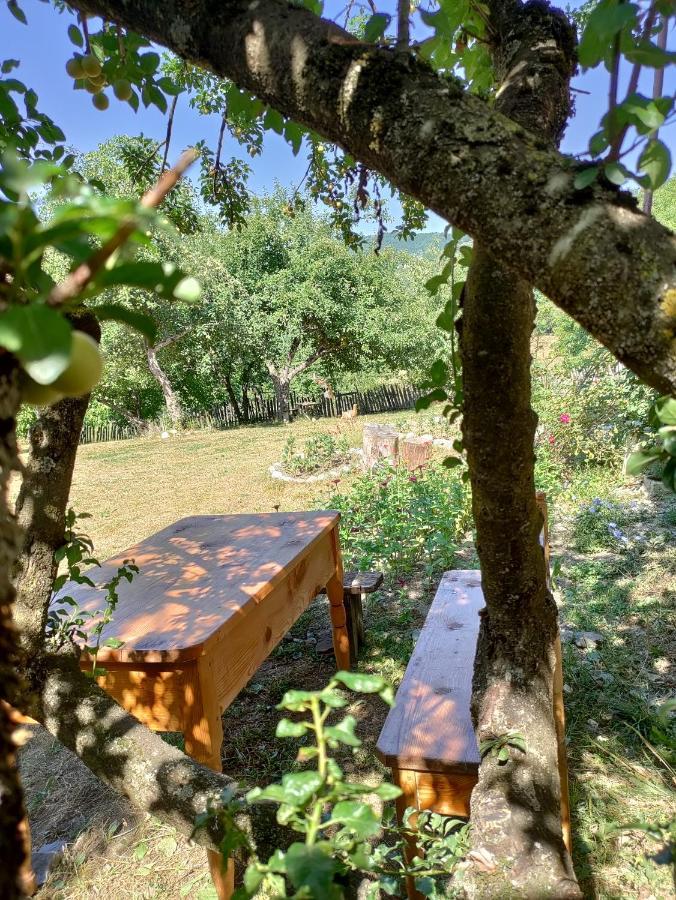 Village House ميستيا المظهر الخارجي الصورة