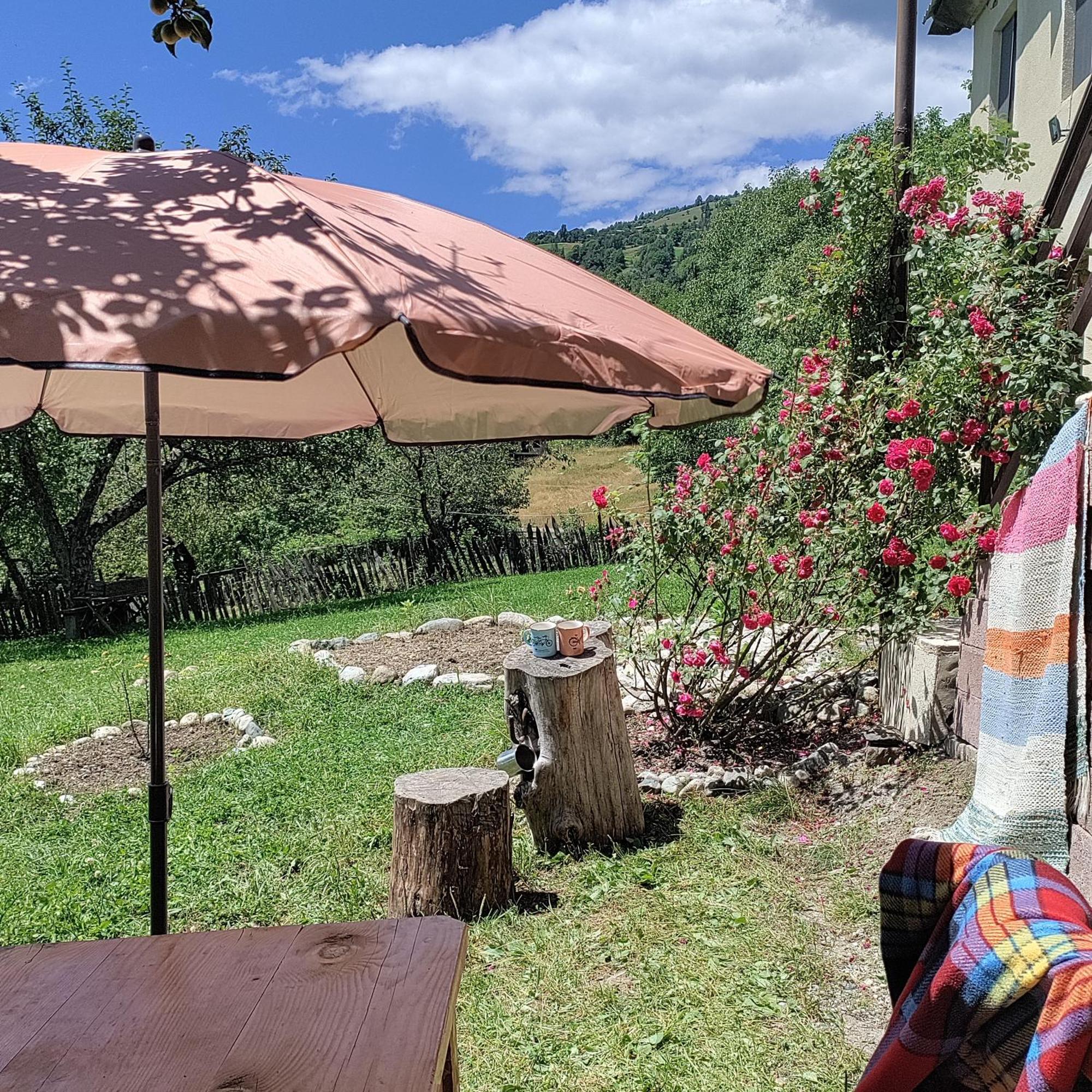 Village House ميستيا المظهر الخارجي الصورة