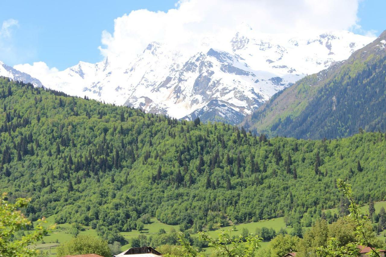 Village House ميستيا المظهر الخارجي الصورة