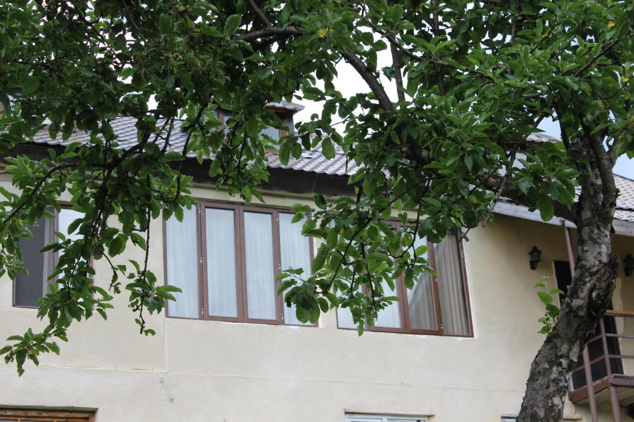 Village House ميستيا المظهر الخارجي الصورة