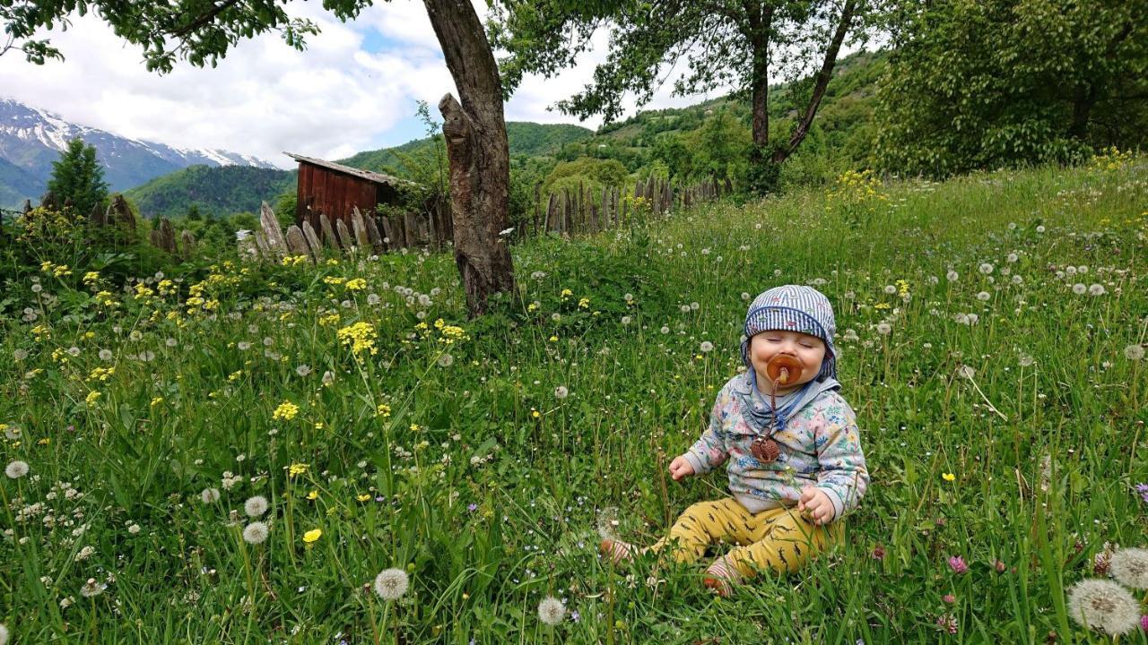 Village House ميستيا المظهر الخارجي الصورة